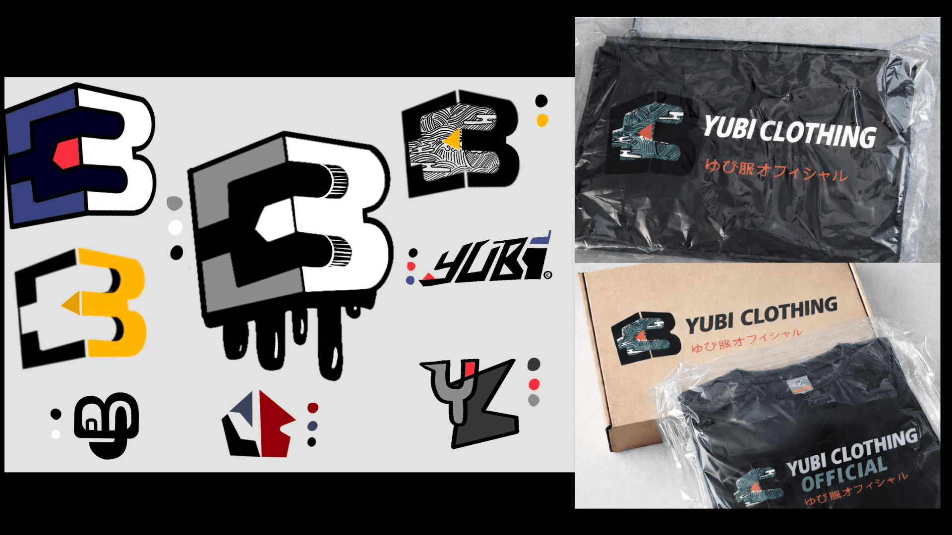 Logo variations and packaging — branded bags, boxes, and product labels